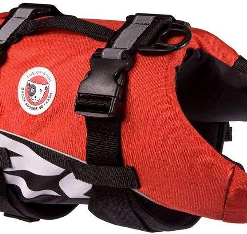 Chaleco salvavidas para perro: EzyDog
